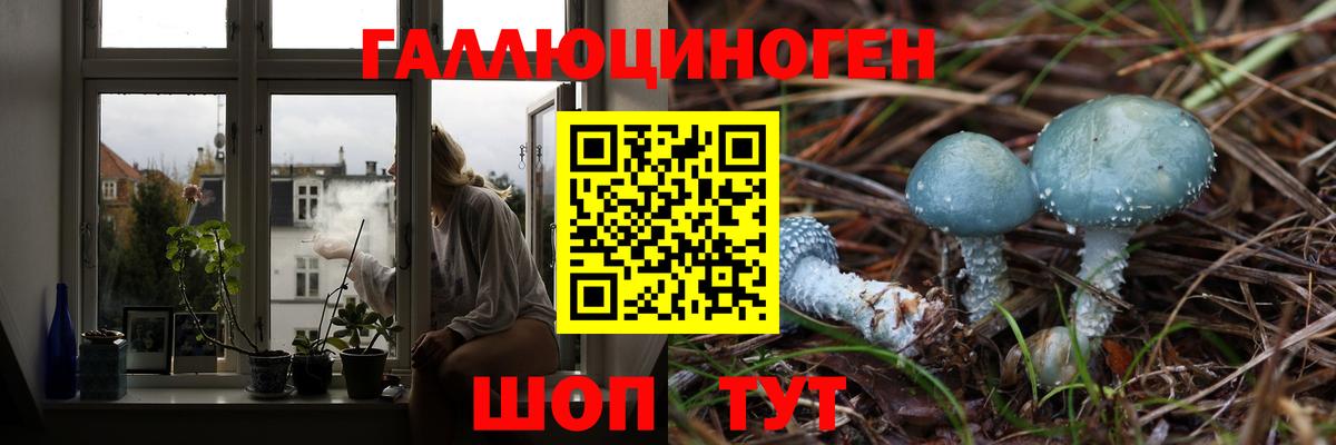 Пушкино  Галлюциногенные грибы мицелий  Галлюциногенные грибы мицелий  Вход с VPN 